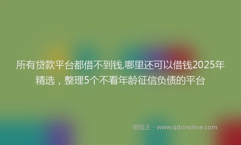 所有贷款平台都借不到钱,哪里还可以借钱2025年精选，整理5个不看年龄征信负债的平台