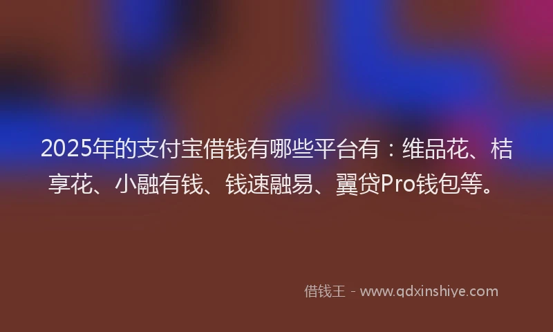 2025年的支付宝借钱有哪些平台有：维品花、桔享花、小融有钱、钱速融易、翼贷Pro钱包等。