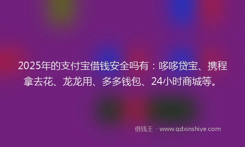 2025年的支付宝借钱安全吗有：哆哆贷宝、携程拿去花、龙龙用、多多钱包、24小时商城等。