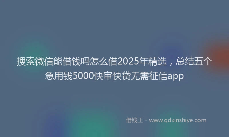 搜索微信能借钱吗怎么借2025年精选，总结五个急用钱5000快审快贷无需征信app