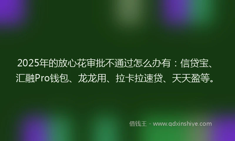 2025年的放心花审批不通过怎么办有：信贷宝、汇融Pro钱包、龙龙用、拉卡拉速贷、天天盈等。