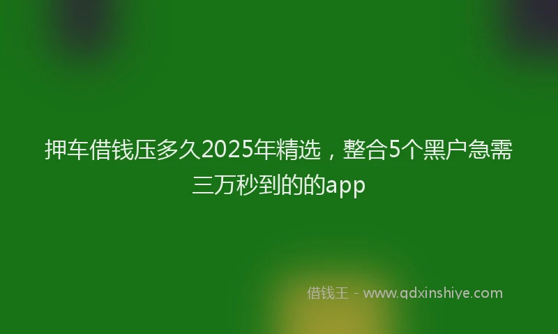 押车借钱压多久2025年精选，整合5个黑户急需三万秒到的的app