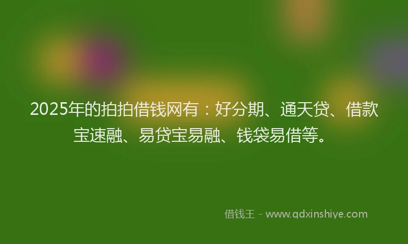 2025年的拍拍借钱网有：好分期、通天贷、借款宝速融、易贷宝易融、钱袋易借等。
