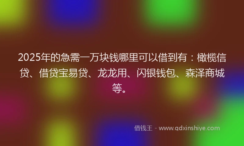 2025年的急需一万块钱哪里可以借到有：橄榄信贷、借贷宝易贷、龙龙用、闪银钱包、森泽商城等。