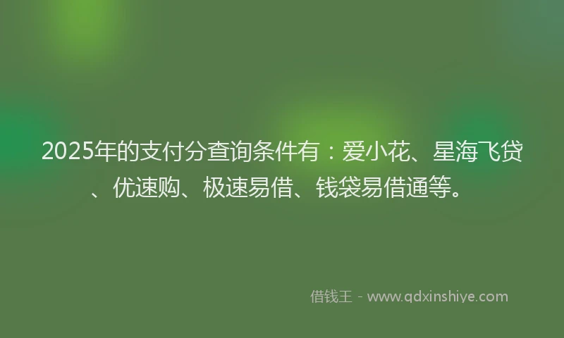2025年的支付分查询条件有：爱小花、星海飞贷、优速购、极速易借、钱袋易借通等。