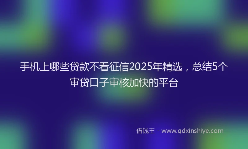 手机上哪些贷款不看征信2025年精选，总结5个审贷口子审核加快的平台