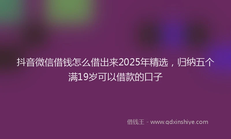 抖音微信借钱怎么借出来2025年精选，归纳五个满19岁可以借款的口子