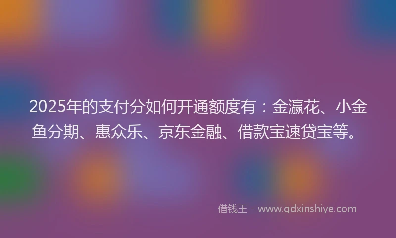 2025年的支付分如何开通额度有：金瀛花、小金鱼分期、惠众乐、京东金融、借款宝速贷宝等。