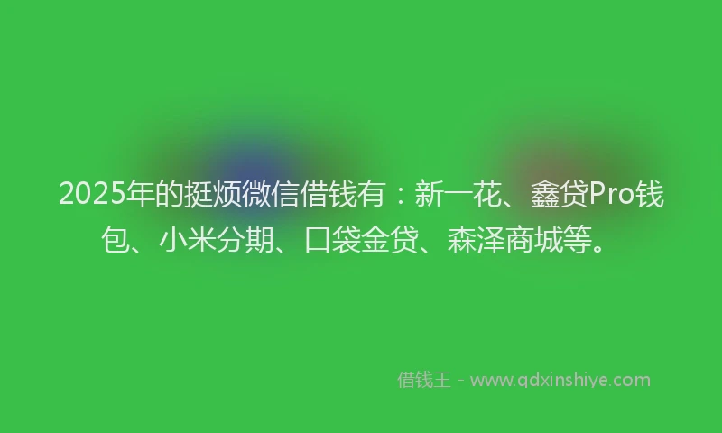 2025年的挺烦微信借钱有：新一花、鑫贷Pro钱包、小米分期、口袋金贷、森泽商城等。