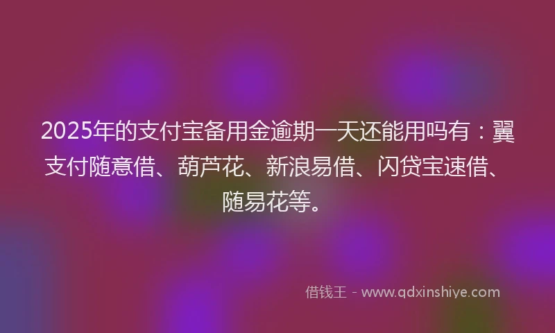2025年的支付宝备用金逾期一天还能用吗有：翼支付随意借、葫芦花、新浪易借、闪贷宝速借、随易花等。