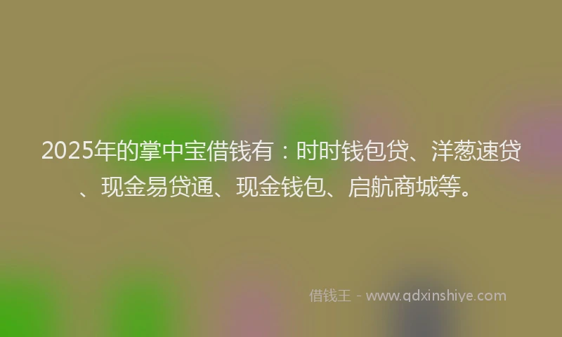 2025年的掌中宝借钱有：时时钱包贷、洋葱速贷、现金易贷通、现金钱包、启航商城等。