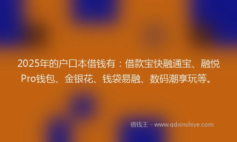 2025年的户口本借钱有：借款宝快融通宝、融悦Pro钱包、金银花、钱袋易融、数码潮享玩等。
