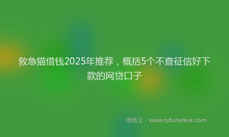 救急猫借钱2025年推荐，概括5个不查征信好下款的网贷口子