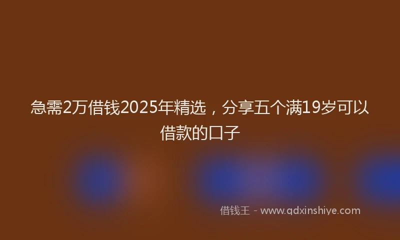 急需2万借钱2025年精选，分享五个满19岁可以借款的口子