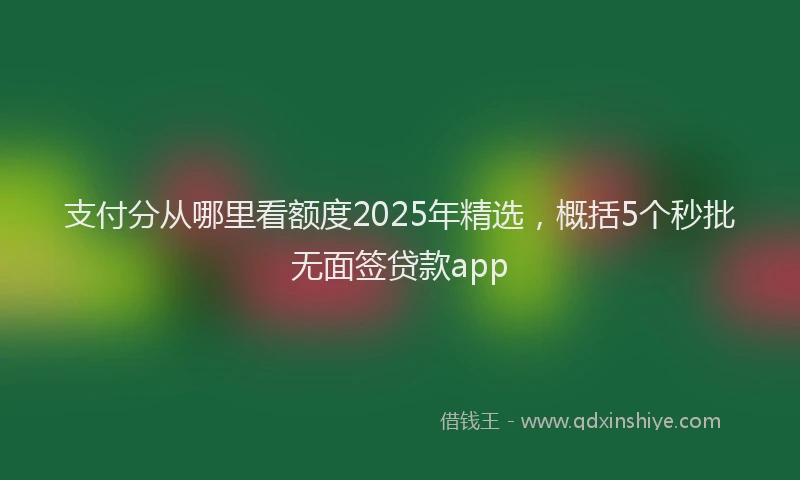 支付分从哪里看额度2025年精选，概括5个秒批无面签贷款app