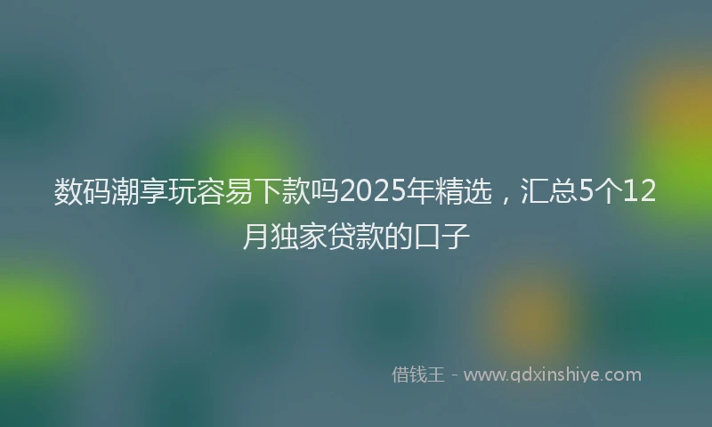 数码潮享玩容易下款吗2025年精选，汇总5个12月独家贷款的口子