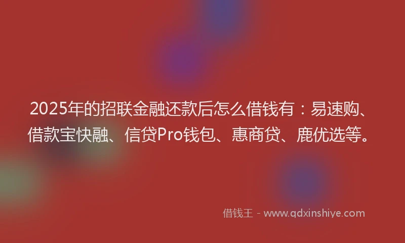 2025年的招联金融还款后怎么借钱有：易速购、借款宝快融、信贷Pro钱包、惠商贷、鹿优选等。