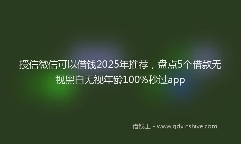 授信微信可以借钱2025年推荐，盘点5个借款无视黑白无视年龄100%秒过app