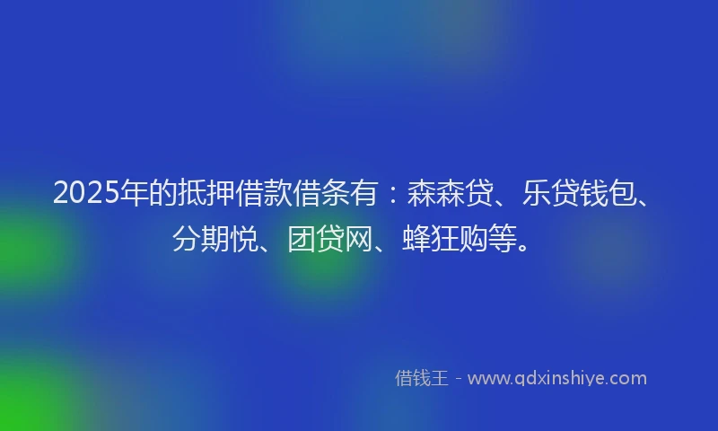 2025年的抵押借款借条有：森森贷、乐贷钱包、分期悦、团贷网、蜂狂购等。
