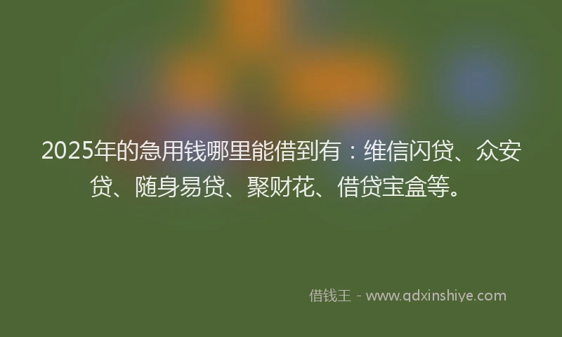 2025年的急用钱哪里能借到有：维信闪贷、众安贷、随身易贷、聚财花、借贷宝盒等。