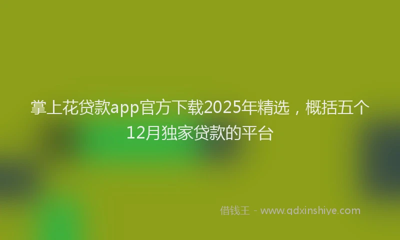 掌上花贷款app官方下载2025年精选，概括五个12月独家贷款的平台