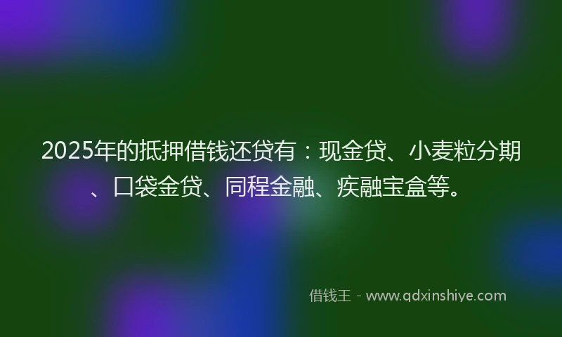2025年的抵押借钱还贷有：现金贷、小麦粒分期、口袋金贷、同程金融、疾融宝盒等。