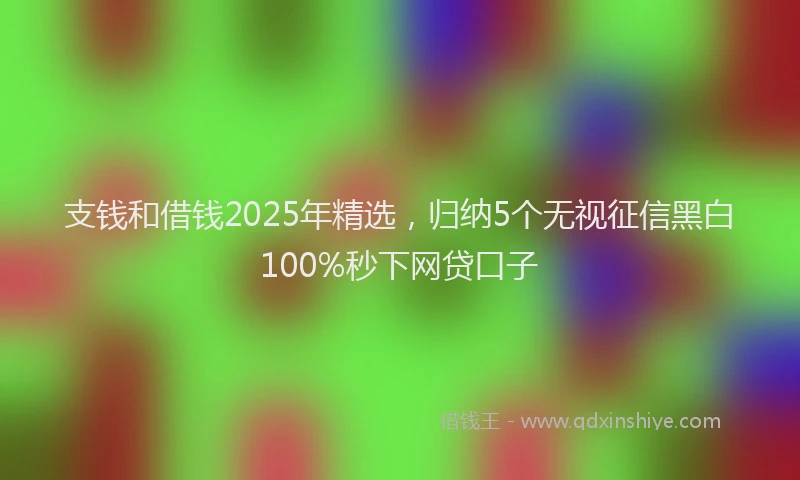 支钱和借钱2025年精选，归纳5个无视征信黑白100%秒下网贷口子