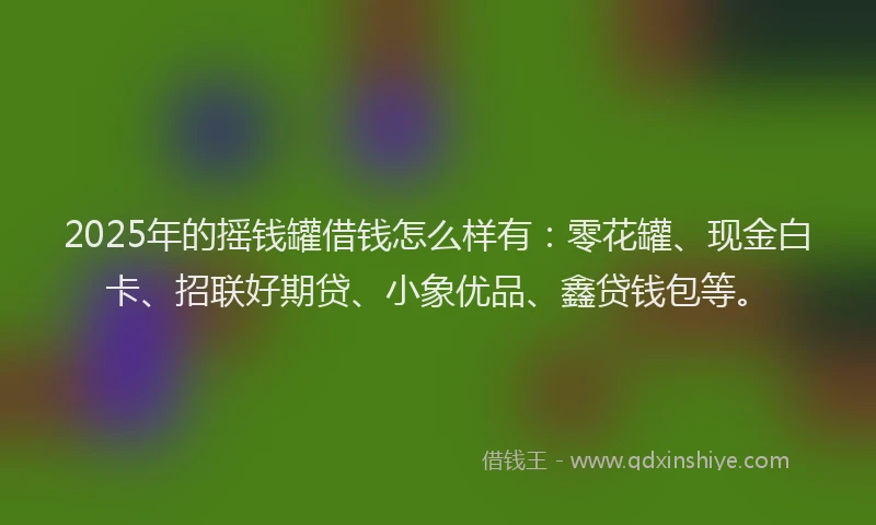 2025年的摇钱罐借钱怎么样有：零花罐、现金白卡、招联好期贷、小象优品、鑫贷钱包等。