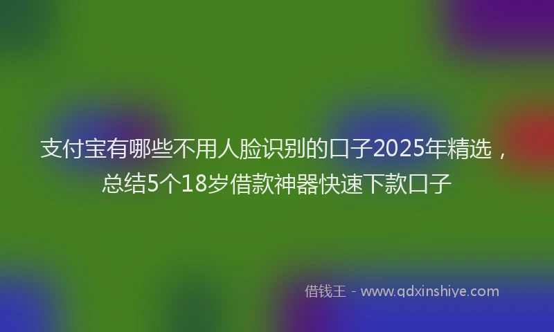 支付宝有哪些不用人脸识别的口子2025年精选，总结5个18岁借款神器快速下款口子