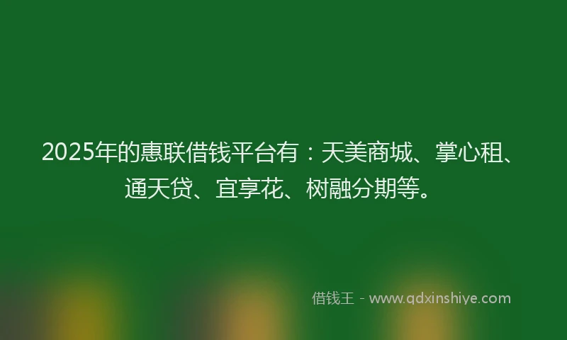 2025年的惠联借钱平台有：天美商城、掌心租、通天贷、宜享花、树融分期等。
