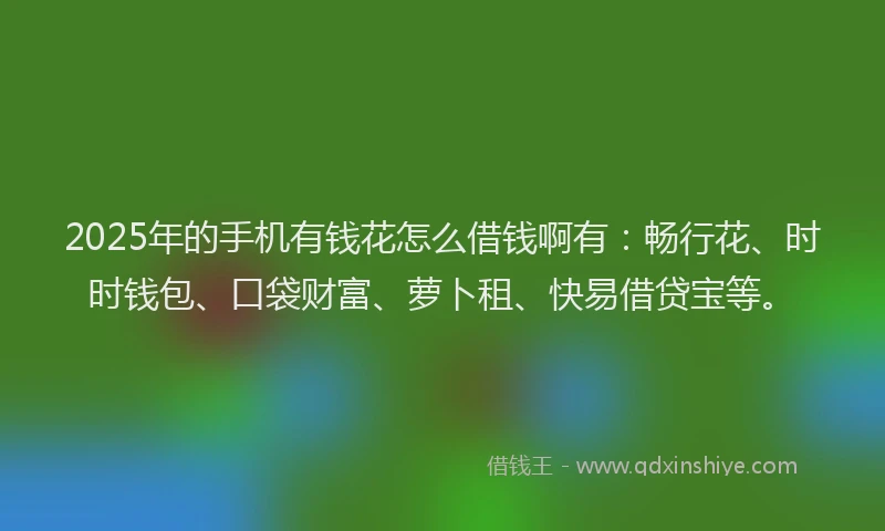 2025年的手机有钱花怎么借钱啊有：畅行花、时时钱包、口袋财富、萝卜租、快易借贷宝等。