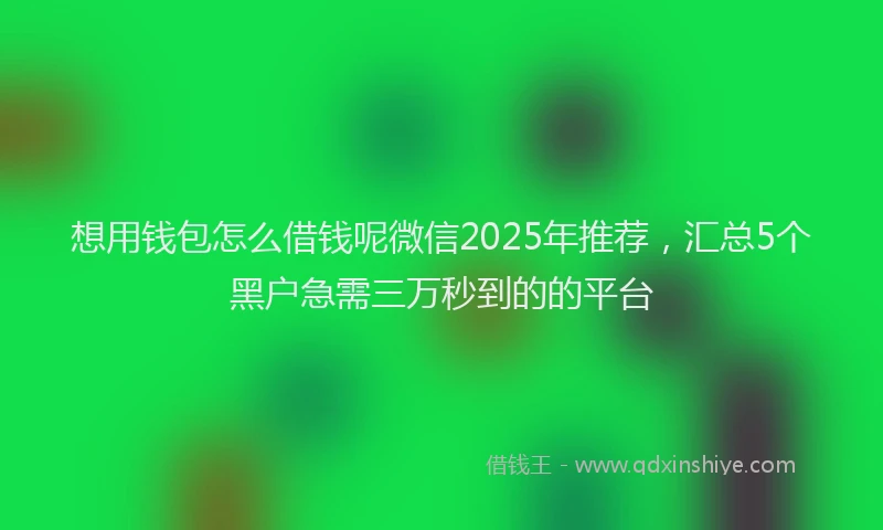 想用钱包怎么借钱呢微信2025年推荐，汇总5个黑户急需三万秒到的的平台