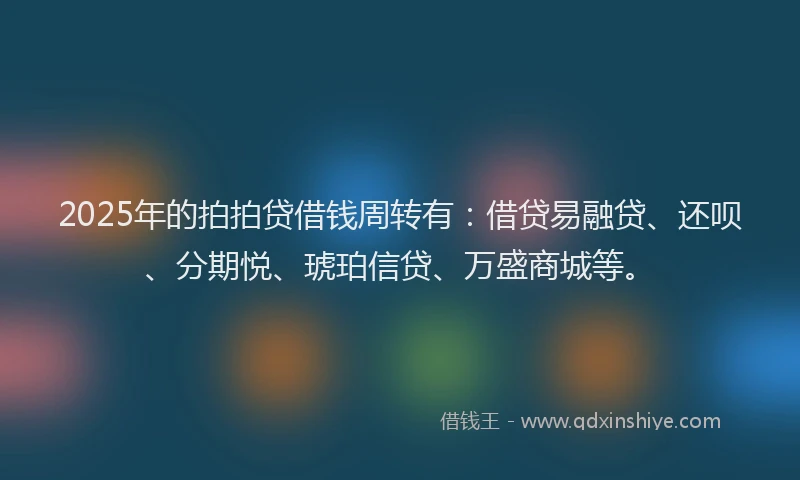 2025年的拍拍贷借钱周转有：借贷易融贷、还呗、分期悦、琥珀信贷、万盛商城等。
