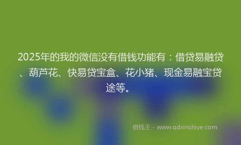 2025年的我的微信没有借钱功能有：借贷易融贷、葫芦花、快易贷宝盒、花小猪、现金易融宝贷途等。