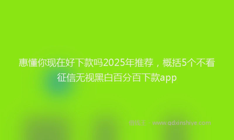 惠懂你现在好下款吗2025年推荐，概括5个不看征信无视黑白百分百下款app