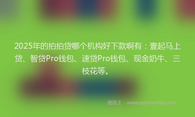 2025年的拍拍贷哪个机构好下款啊有：壹起马上贷、智贷Pro钱包、速贷Pro钱包、现金奶牛、三枝花等。