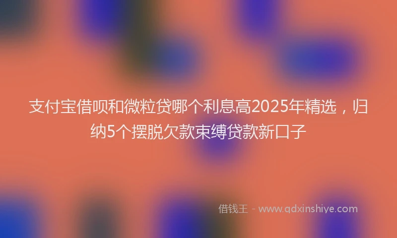 支付宝借呗和微粒贷哪个利息高2025年精选，归纳5个摆脱欠款束缚贷款新口子