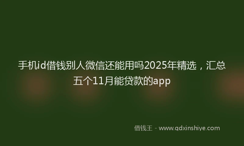 手机id借钱别人微信还能用吗2025年精选，汇总五个11月能贷款的app