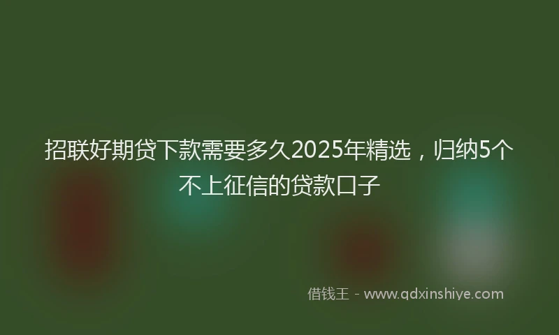 招联好期贷下款需要多久2025年精选，归纳5个不上征信的贷款口子