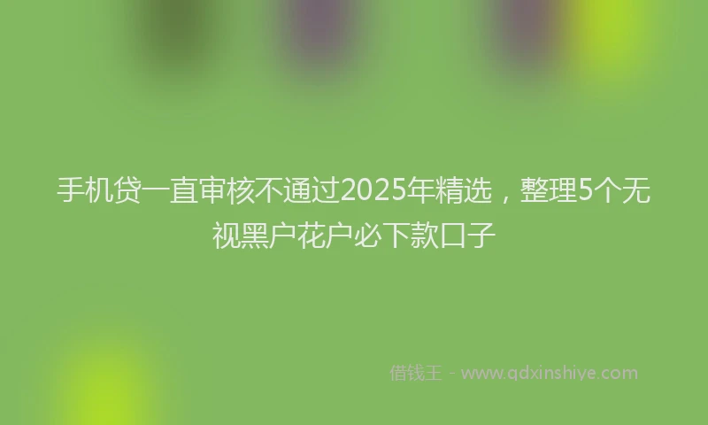 手机贷一直审核不通过2025年精选，整理5个无视黑户花户必下款口子