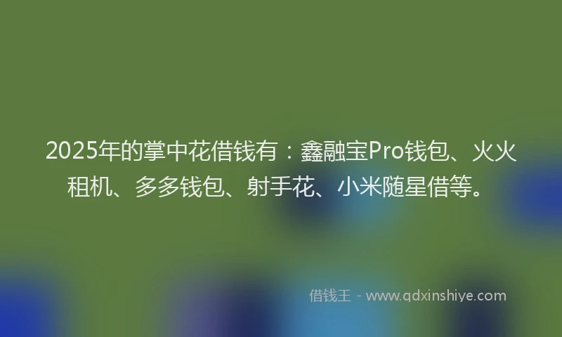 2025年的掌中花借钱有：鑫融宝Pro钱包、火火租机、多多钱包、射手花、小米随星借等。