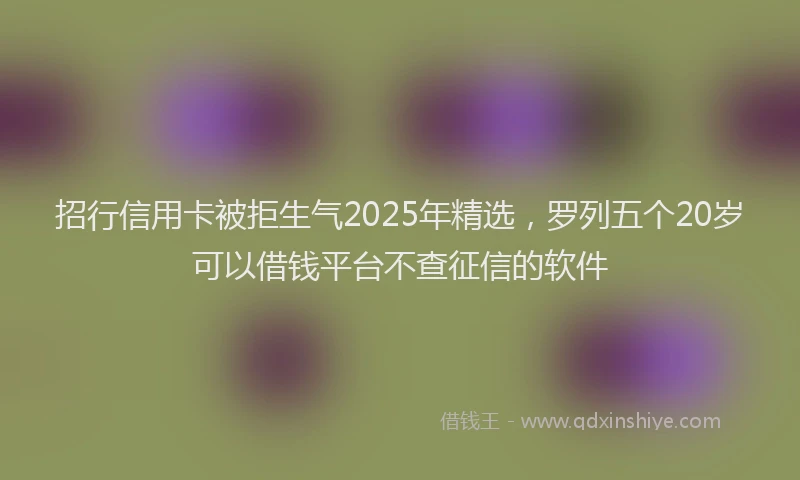 招行信用卡被拒生气2025年精选，罗列五个20岁可以借钱平台不查征信的软件