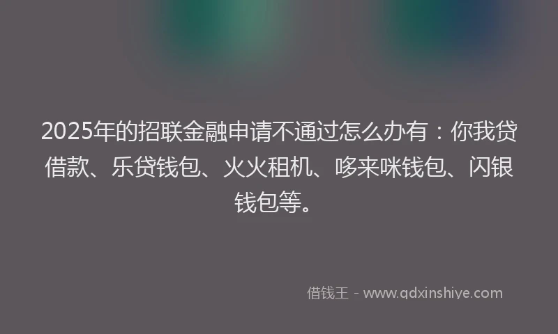 2025年的招联金融申请不通过怎么办有：你我贷借款、乐贷钱包、火火租机、哆来咪钱包、闪银钱包等。