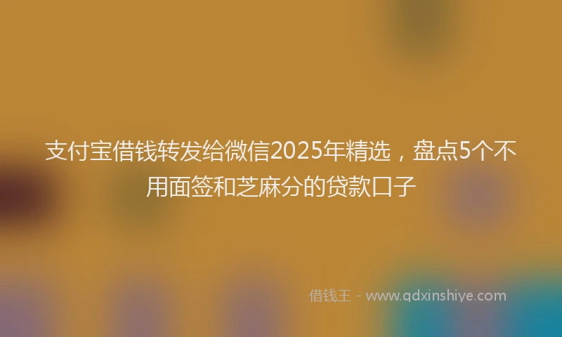 支付宝借钱转发给微信2025年精选，盘点5个不用面签和芝麻分的贷款口子