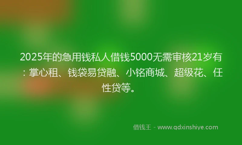 2025年的急用钱私人借钱5000无需审核21岁有：掌心租、钱袋易贷融、小铭商城、超级花、任性贷等。