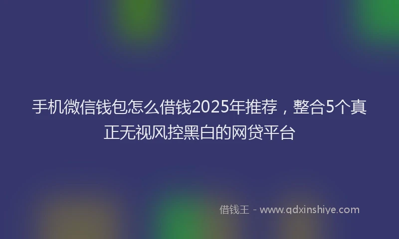 手机微信钱包怎么借钱2025年推荐，整合5个真正无视风控黑白的网贷平台