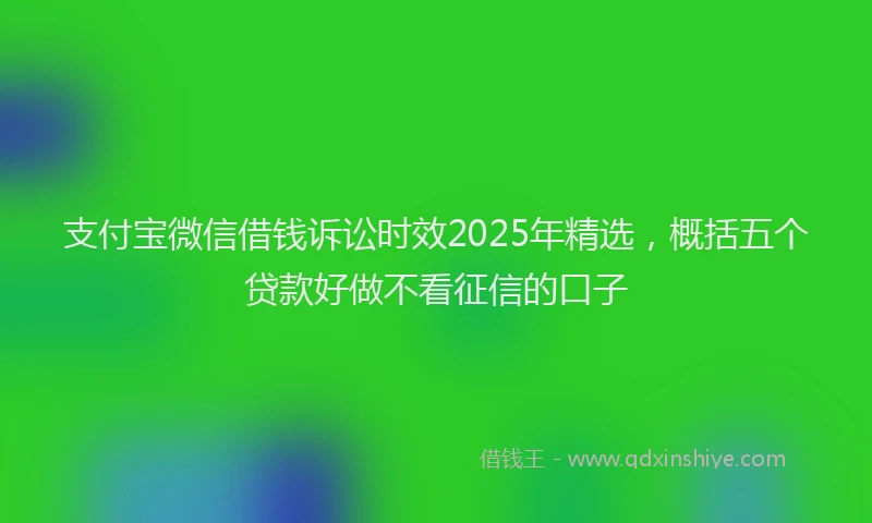 支付宝微信借钱诉讼时效2025年精选，概括五个贷款好做不看征信的口子