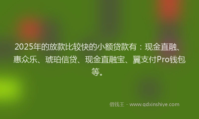 2025年的放款比较快的小额贷款有：现金直融、惠众乐、琥珀信贷、现金直融宝、翼支付Pro钱包等。
