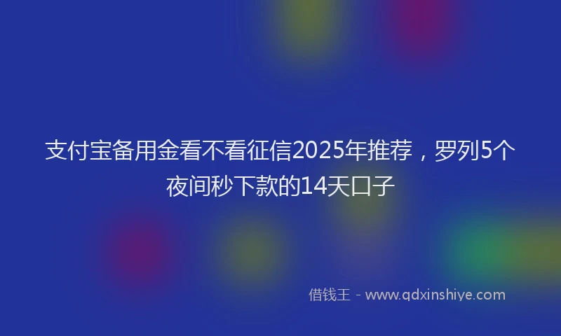 支付宝备用金看不看征信2025年推荐，罗列5个夜间秒下款的14天口子