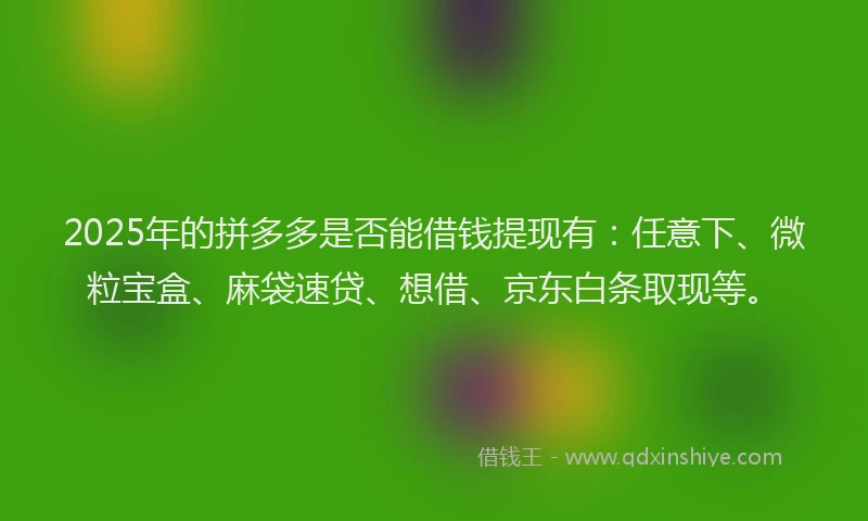 2025年的拼多多是否能借钱提现有：任意下、微粒宝盒、麻袋速贷、想借、京东白条取现等。
